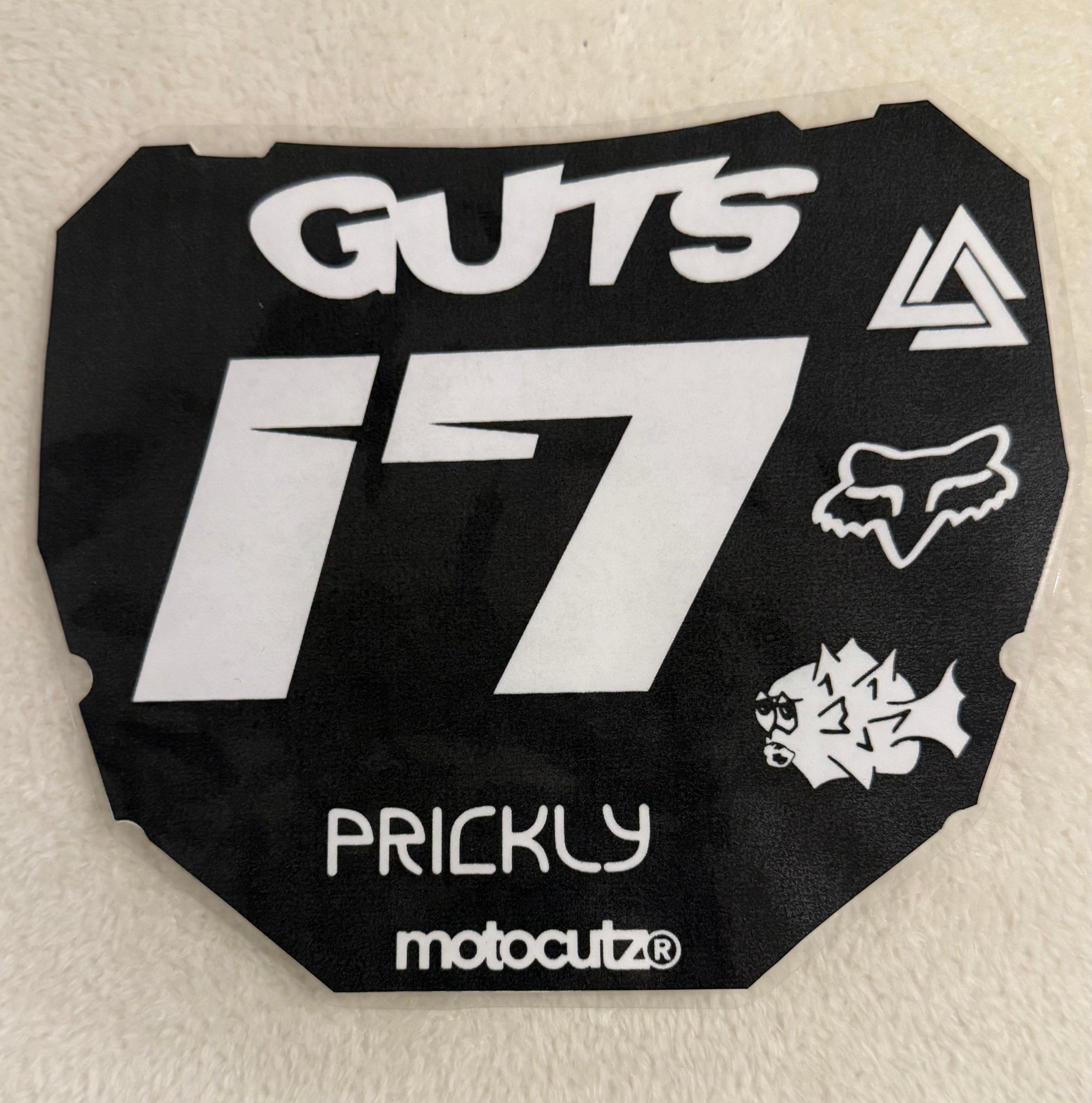 Number Plate - #17